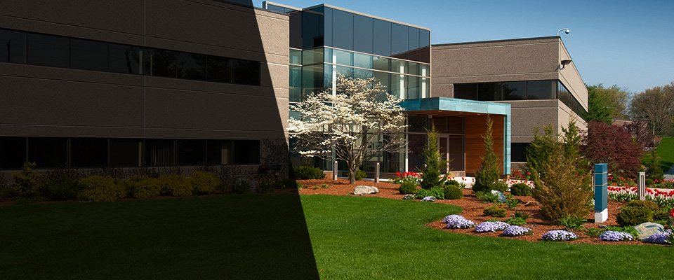 Collins Landscapers