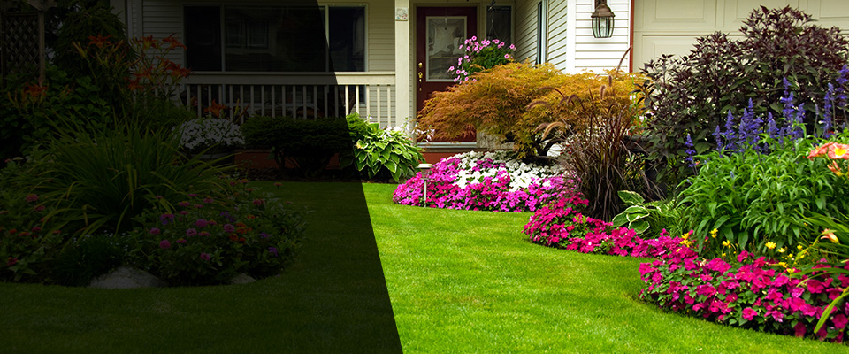 Collins Landscapers