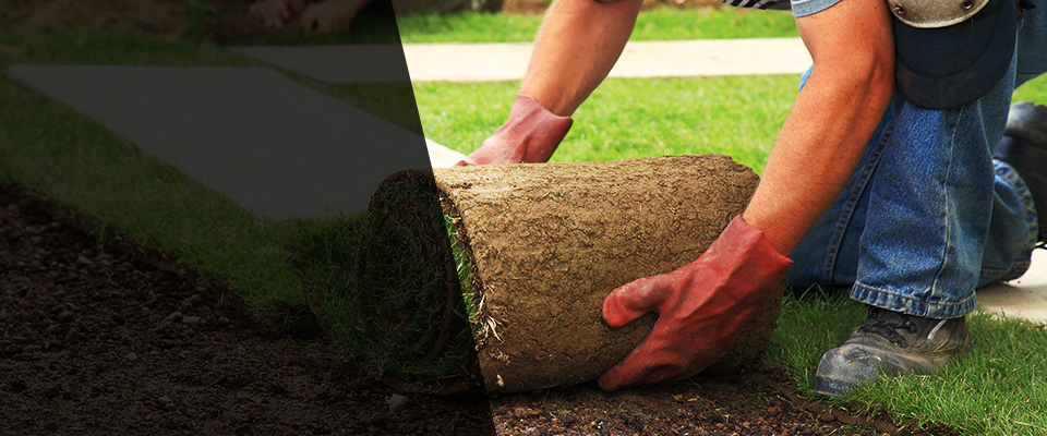 Collins Landscapers